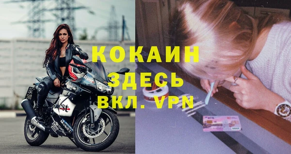 меф Дмитриев