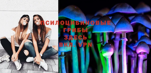 меф Дмитриев