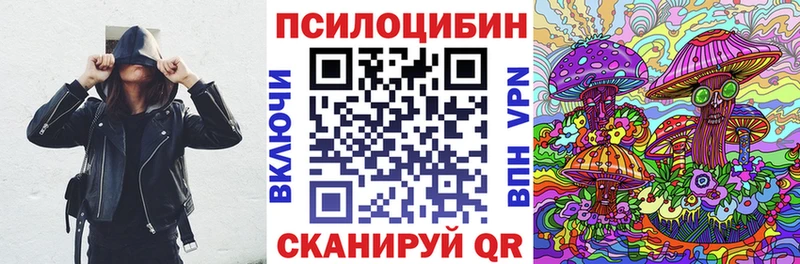 Галлюциногенные грибы Psilocybe Новоалександровск