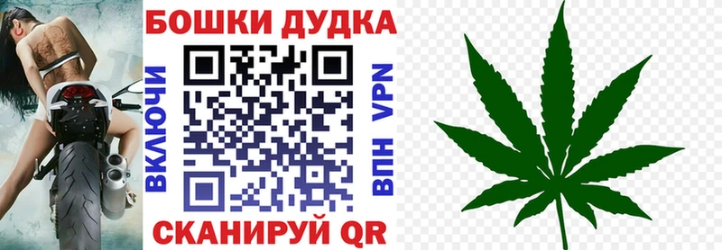 Марихуана гибрид цены Новоалександровск